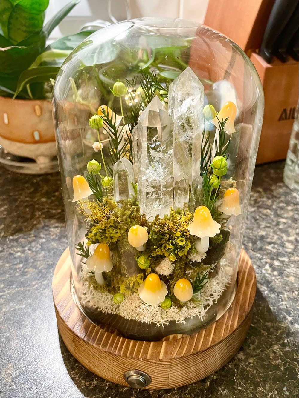 Handmade Clear Quartz, Moss, And Mushroom Light Up Glass Dome
